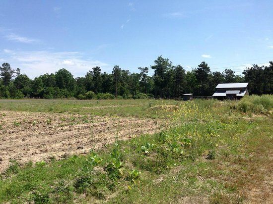 L.W. Paul Living History Farm